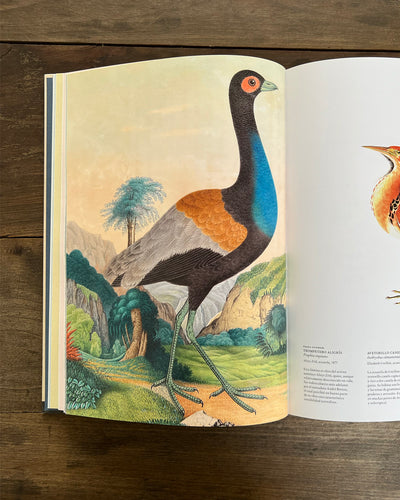 Las Aves / La Edad de oro de la ilustración de aves
